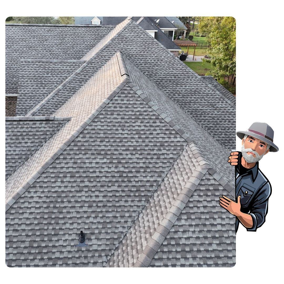 stan the man roof cleaning image