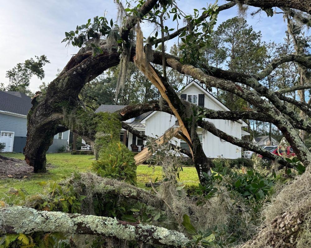 Storm Damage